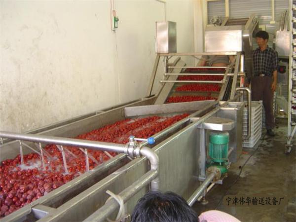 水果蔬菜清洗機