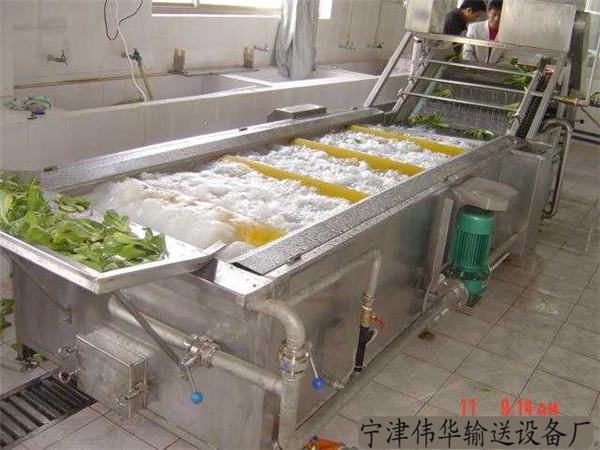 水果蔬菜清洗機