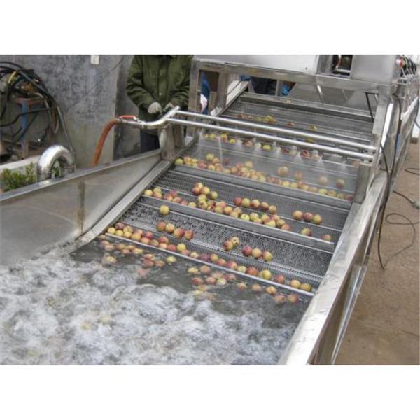 水果蔬菜清洗機